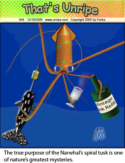 cartoon 44, mystery of the narwhal’s spiral tusk